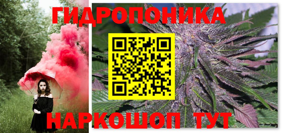 Каннабис White Widow Краснознаменск